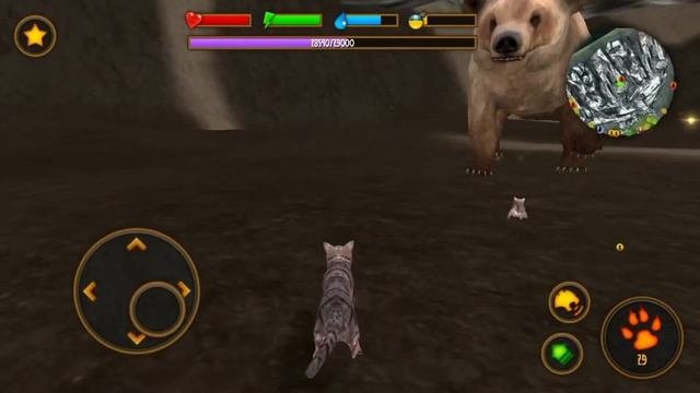 Clan Of Cats - Wild Foot Games #2 | IOS Gameplay |