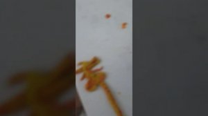 Как слепить лицехвата