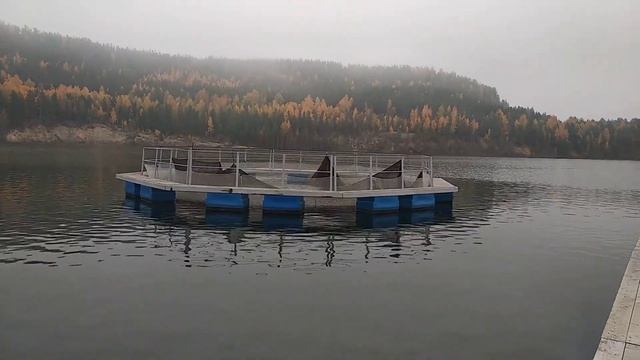 No comments. Форель, садки.... Тишина смотреть онлайн