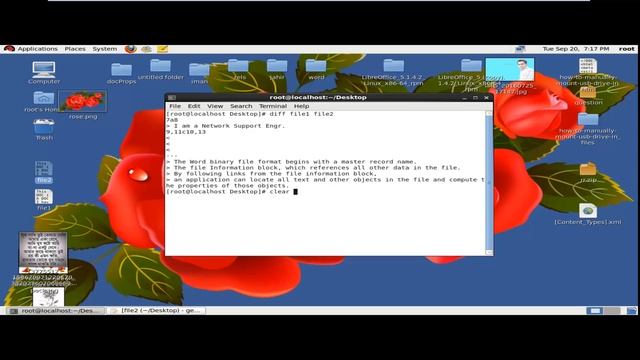 diff, head and tail command in linux bangla