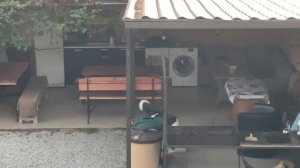 11-10-2024 Дорога к морю на авто