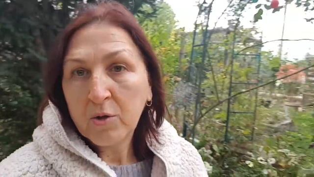 Цвет осени/Провал на кухне/Колхозная французская мода/Кто это носит?