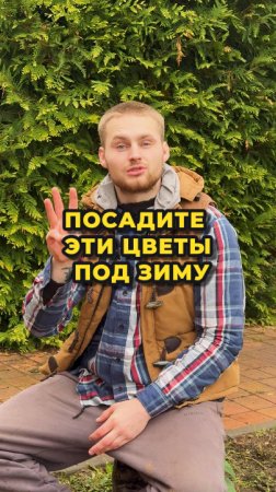 Обязательно посадите эти цветы под зиму