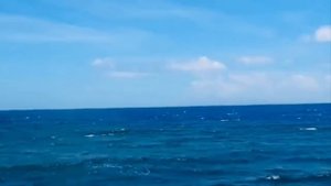 Исцеляющая музыка Robert Coxon