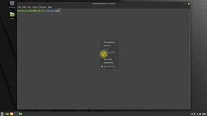 How to Install XanMod Kernel on Linux 21 Vanessa | Customize Linux Mint 21 - Linux Kernel Options
