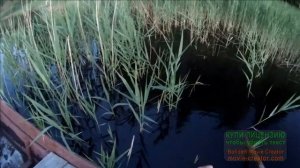 С Мусей на лодке проверяю поставушки на щуку. Рыбалка в Псковской области.