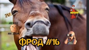 ФРОД #16