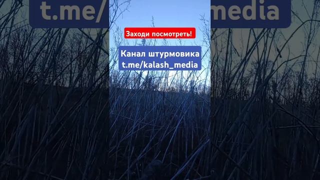 Канал штурмовика. Заходи посмотреть. #штурмовик #телеграм #новоевидео #новости #сво