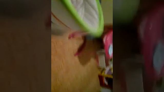 Видео обзор кровати кочалки для реборна смотреть онлайн