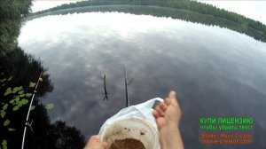 Ловля леща,судака.