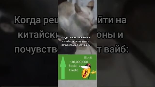 Когда обнова на  Мейзу? #мем #мемы #китай #мемы #юмор #жиза #mem