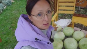 Видео приве с 6 соток 10 октября 2024 года