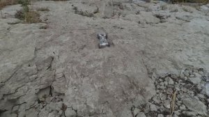 Как сделать Краулер – Первый запуск! (6 часть)