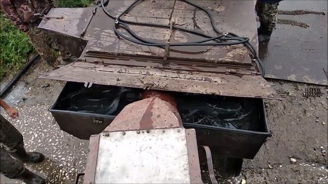 Рыба, которую можно перевозить без воды и кислорода - африканский сом смотреть онлайн