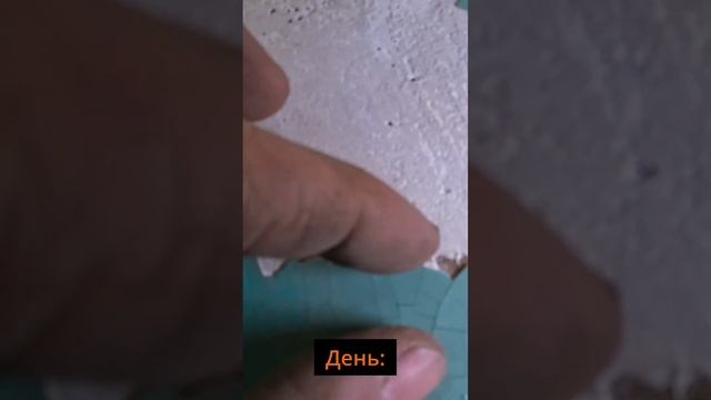 А как проходит ваш день?