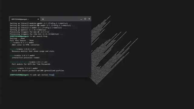 Chrome OS FLEX install HTOP