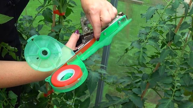 Тапенер. Степлер для растений. смотреть онлайн