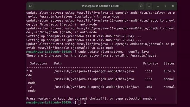 Cannot run on older version of Java than java11  please install 11 or new or use   jdkhome switch t