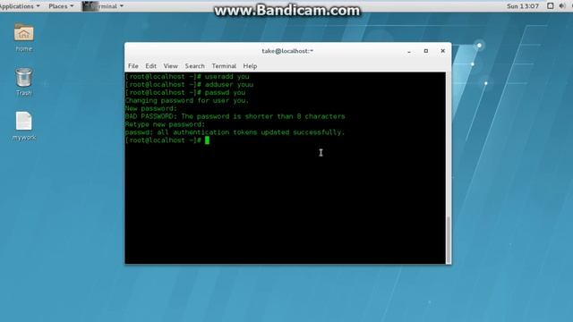 useradd command in linux смотреть онлайн