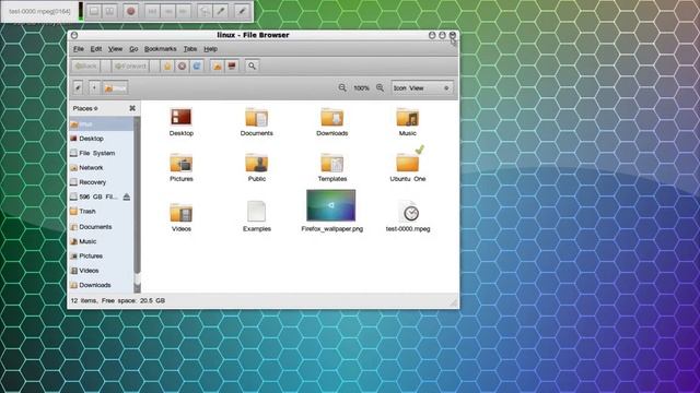 Ubuntu 9.10 x64 Linux Desktop