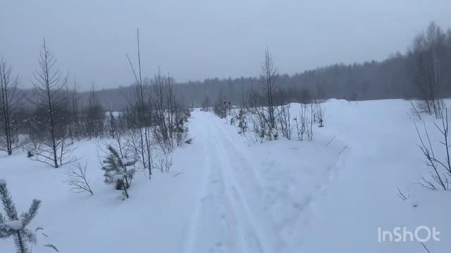 Красота зимнего леса/Репортаж сказочный