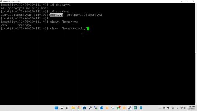 User Permissions and Security