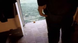 A christmas apple-Рождественское яблоко (360p)