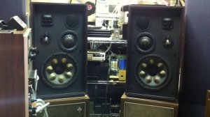 Высокочувствительная, очень редкая,  акустика Victor с "бородавками" в версии Курта Мюллера.