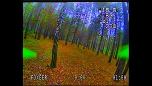 DVR на whoope, в лесу, летаю на тройке.