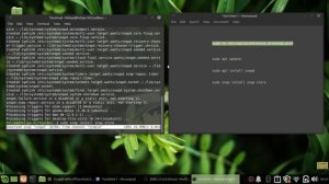 Linux Mint 20 XFCE - How to remove nosnap.pref and Install Snap Store