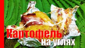 КАРТОШКА в фольге, на УГЛЯХ, в лесу..