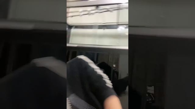 看影片的都雙擊啊！ 這黑殼蝦是我特意給你們整來拍影片看的！ 我家寵物想吃我都沒給！#王小怪 смотреть онлайн