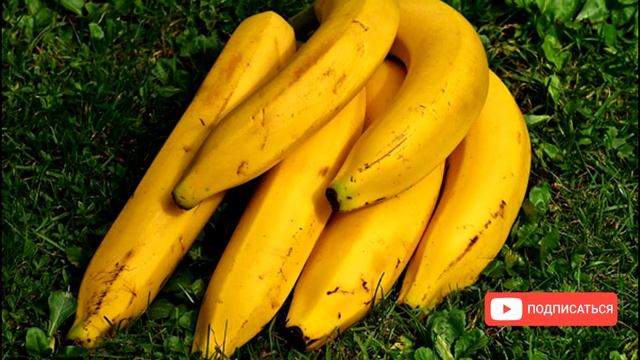 ВОТ что НАДО есть для ЖЕЛУДКА / Топ-10 полезных продуктов для здоровья желудка смотреть онлайн