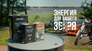 Моторное масло GNV