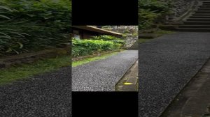 Отель TJAMPUHAN HOTEL 4* , Убуд, Бали. Ubud. Bali.