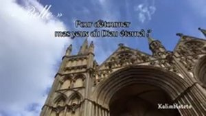 « Belle » (Notre-Dame de Paris) chromatic kalimba cover @garouofficiel @patrickfiorimusic