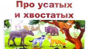 Гатчина. Детская библиотека. Обзор книг.