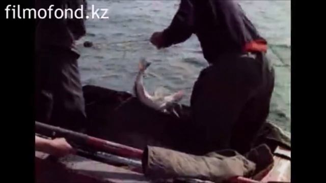 Рыбхоз при Экибастузской ГРЭС 1. 1980-е гг, Казахская ССР смотреть онлайн