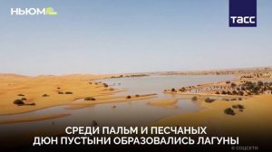 Пустыню Сахара затопило из-за проливных дождей