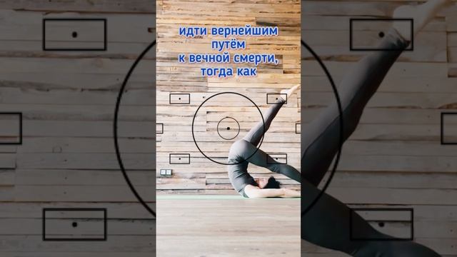 #йогакаждыйдень #yogapractice #философия