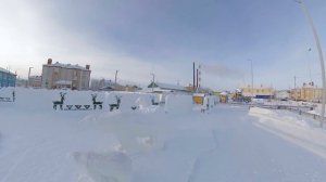 МЕДВЕДИ, МАШИНЫ,УЛИЦА  insta 360 one x