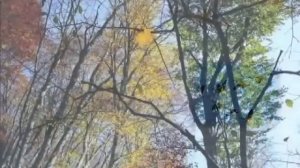 _Осень_ К.Бальмонт