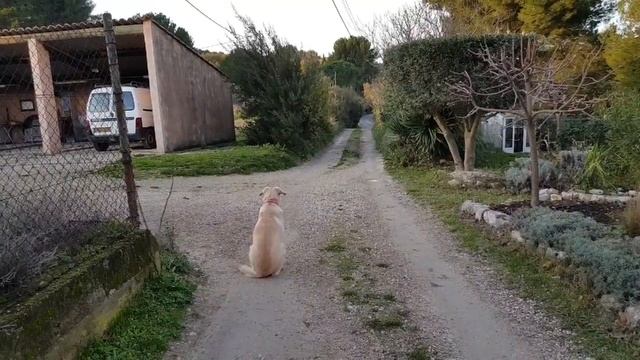 Прованс/А я все чищу свой сад по см / и блин за 2евро/provenceallochka  vlog