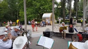 "Пчелка"  - оркестр "Звезды ретро"