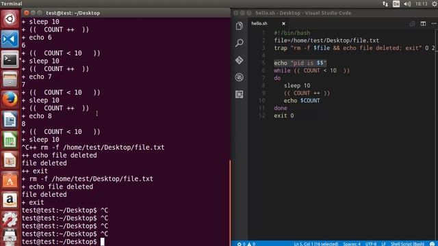Shell Scripting Tutorial for Beginners - How to debug a bash script
