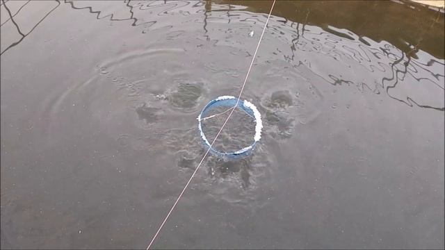 Что будет с рыбхозом если остановится ГРЭС? Рабочий день рыбовода. смотреть онлайн