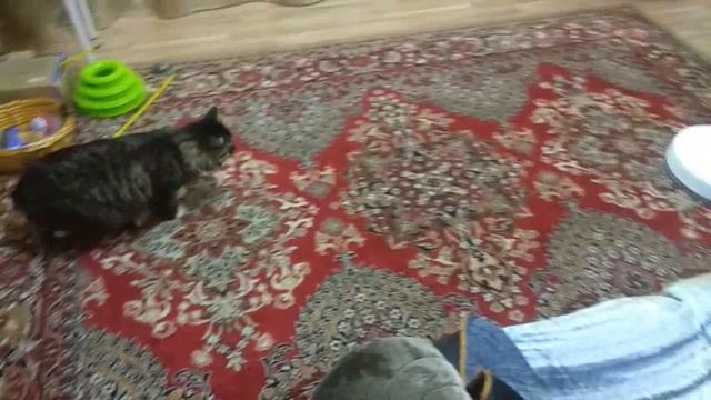 пылик сяоми 1С смотреть онлайн