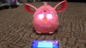 Ферби коннект на русском!