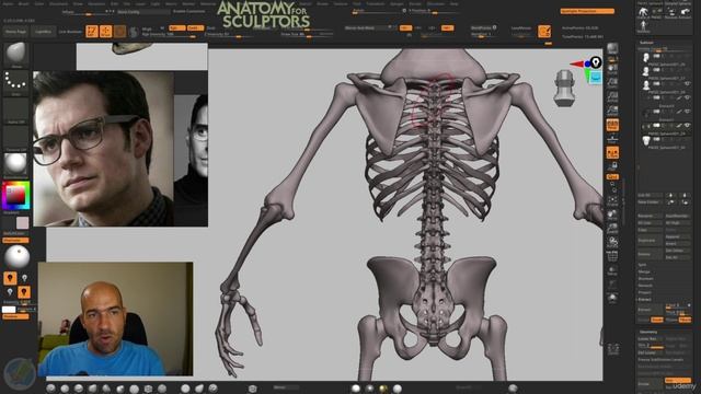 10. Chest and shoulder understanding part 1