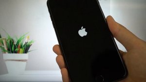 iOS 13 Beta 4 Download and Install, No Computer, No Data Loss!